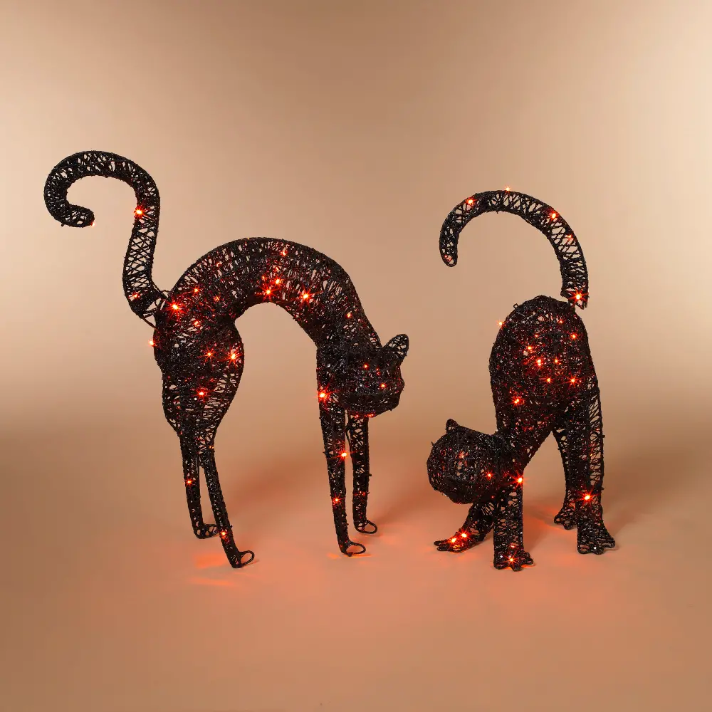Assorted Electric Black Cat with Glitter and Orange Lights-1