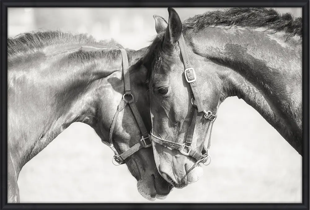 Black and White Two Horses Framed Canvas Wall Art-1