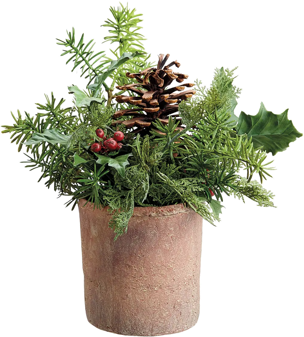 12 Inch Holly, Pine and Berry Arrangement in a Pot-1