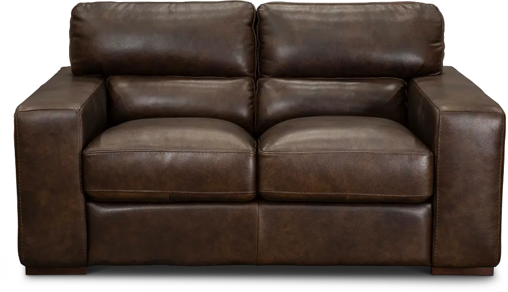 Contemporary Brown Leather Loveseat - Sundance-1