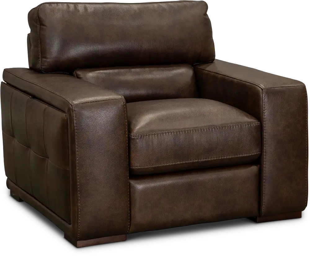 Contemporary Brown Leather Chair - Sundance-1