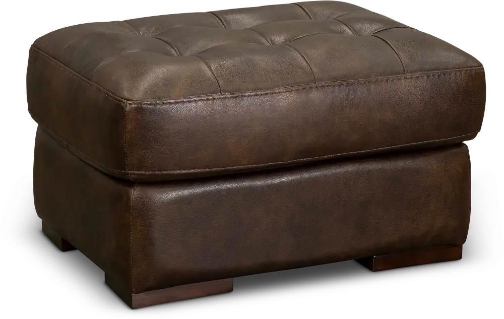 Contemporary Brown Leather Ottoman - Sundance-1