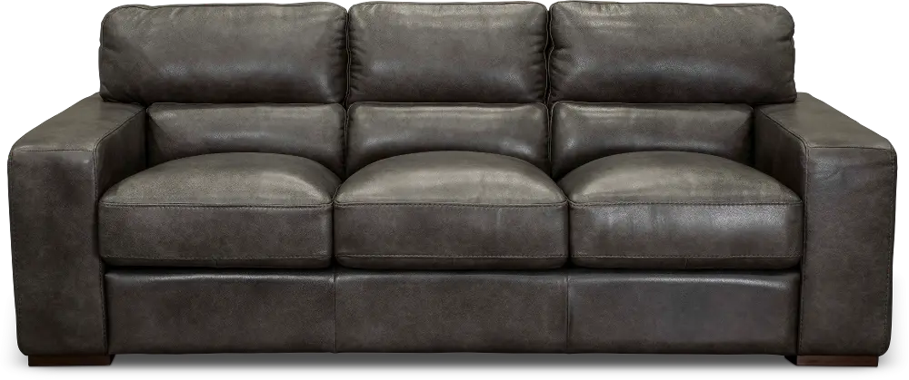 Contemporary Charcoal Gray Leather Sofa - Sundance-1
