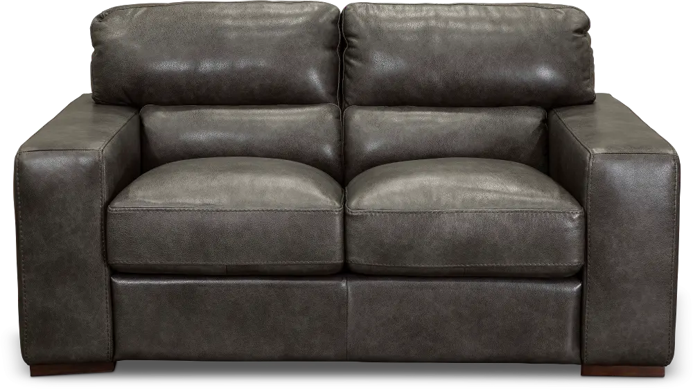 Contemporary Charcoal Gray Leather Loveseat - Sundance-1