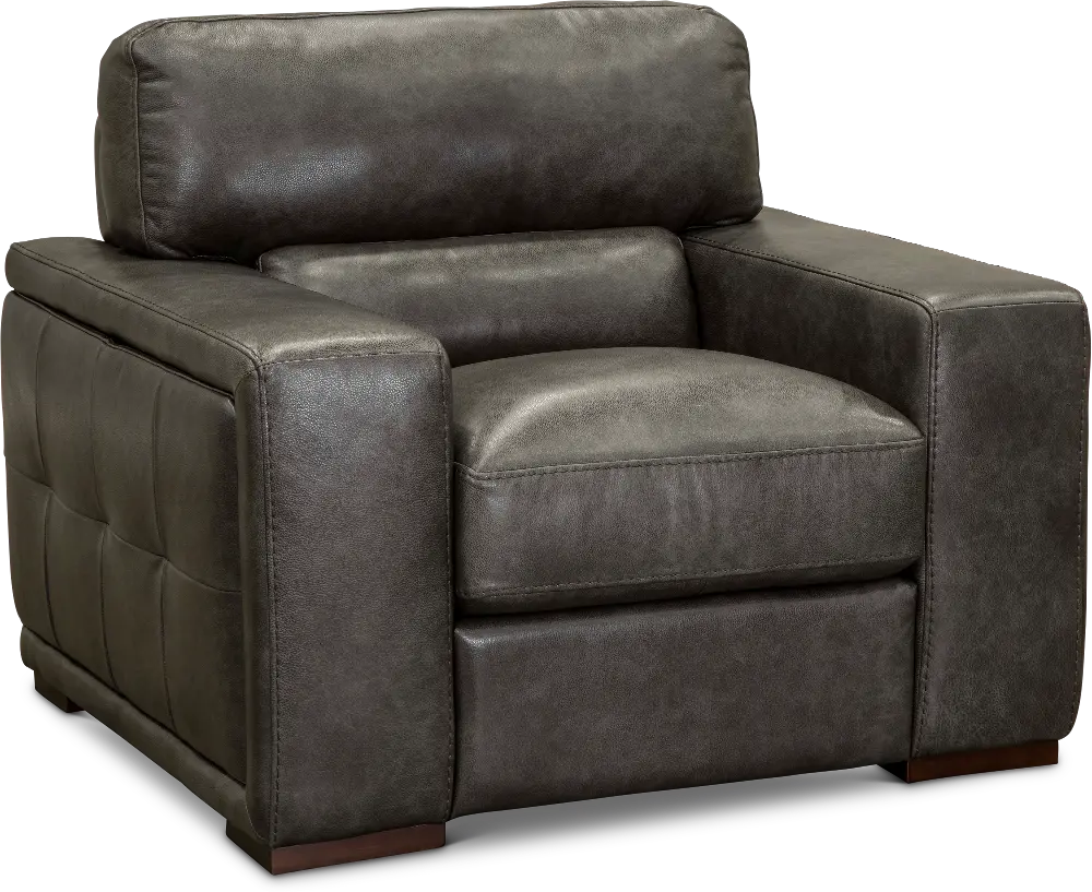 Contemporary Charcoal Gray Leather Chair - Sundance-1