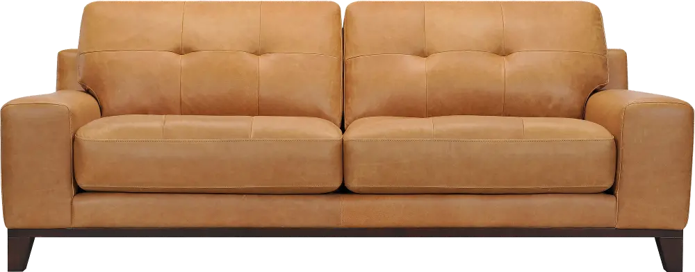 Modern Tan Leather Sofa - Jackson-1