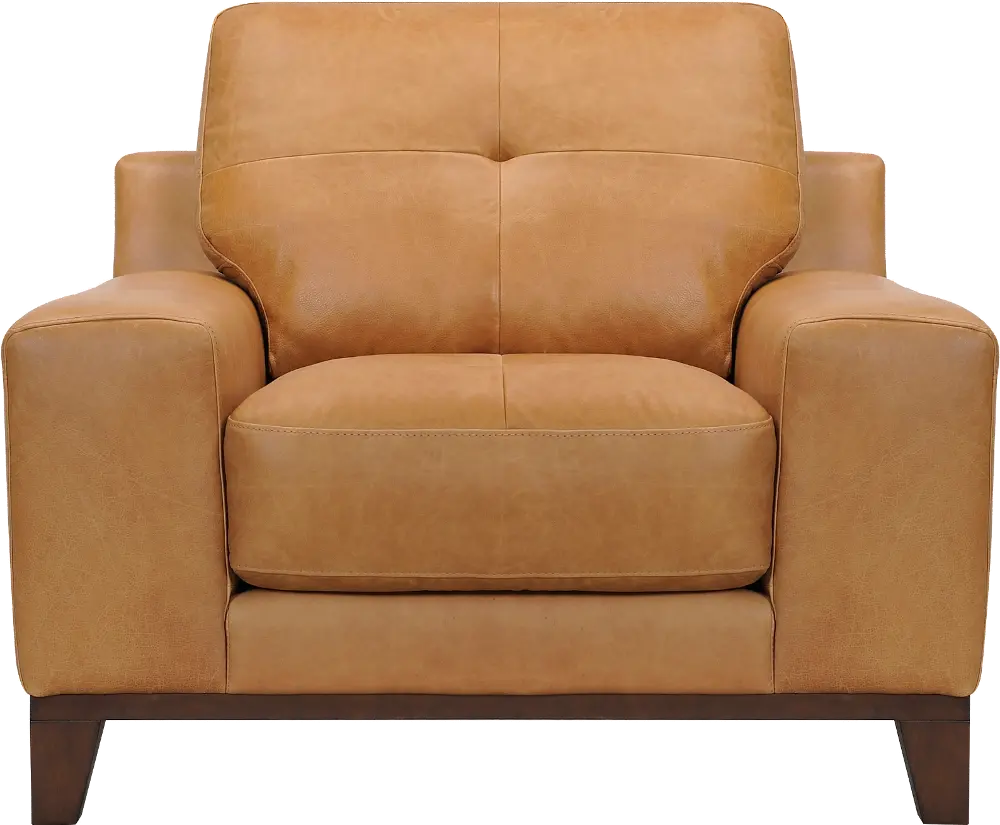 Modern Tan Leather Chair - Jackson-1