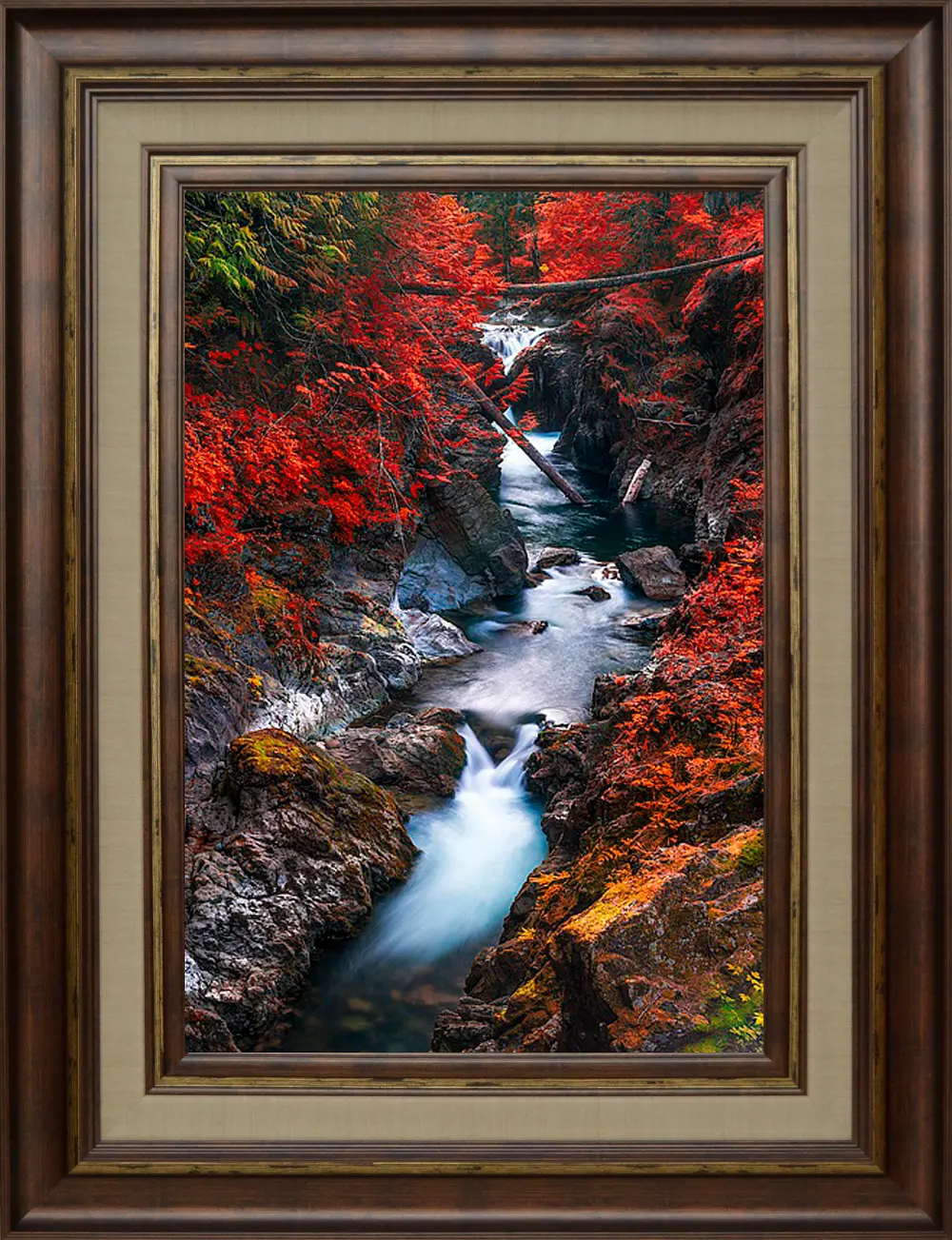 Water In The Fall Framed Wall Art-1