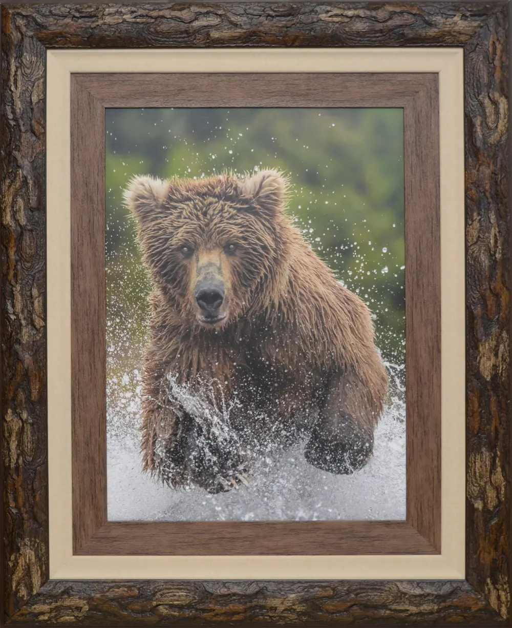 Brown Alaska Bear Framed Wall Art-1