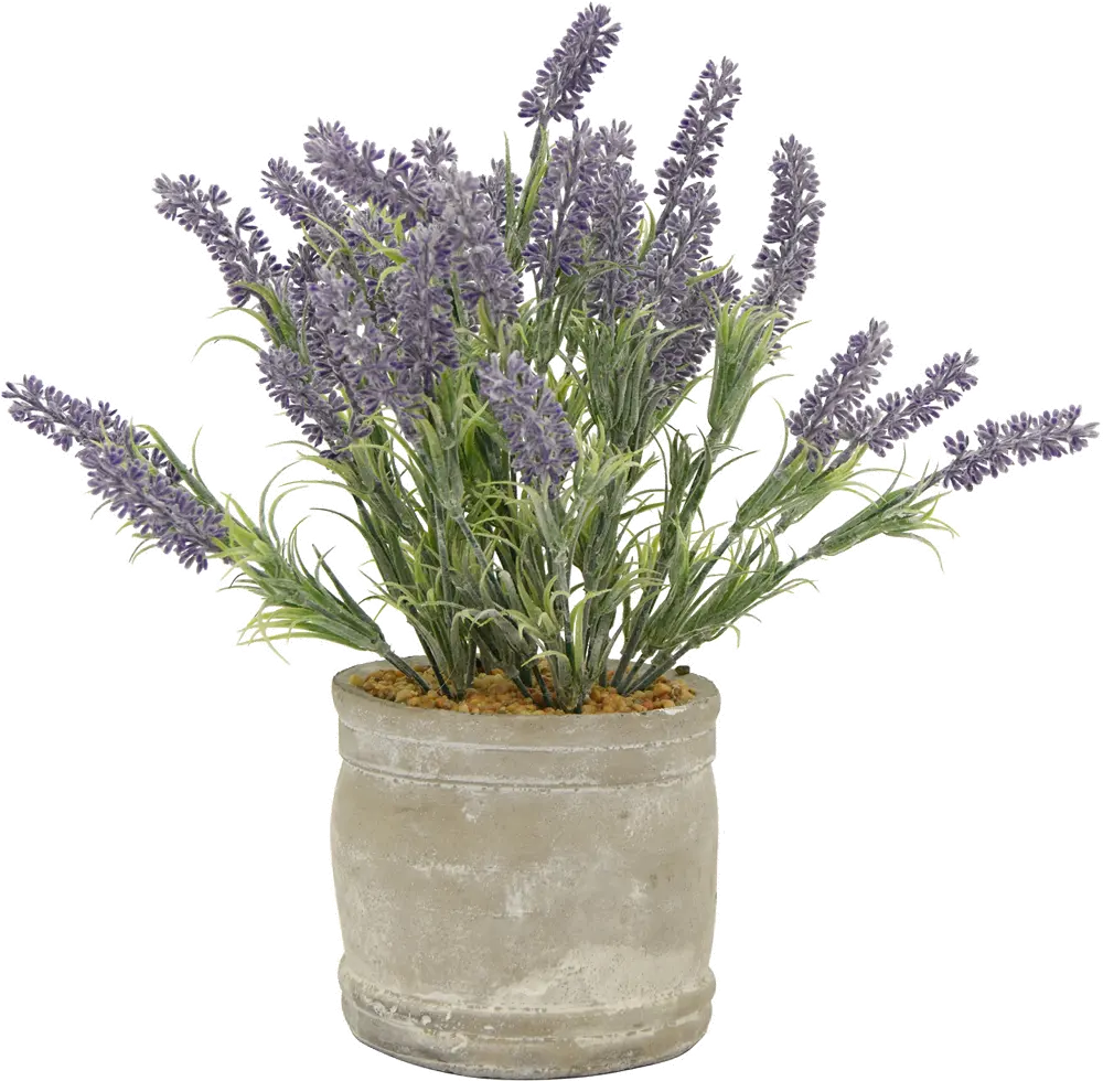 16 Inch Faux Lavender Arrangement in Round Cement Pot-1
