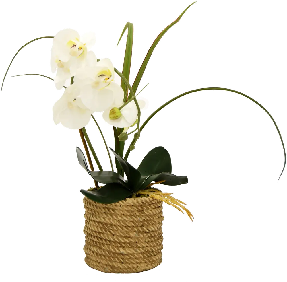 18 Inch Faux White Orchid Arrangement in Round Rope Pot-1