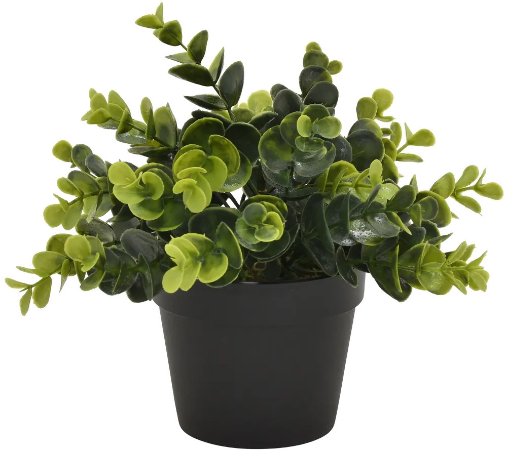 8 Inch Two Tone Artificial Boxwood Greenery in a Flower Pot-1
