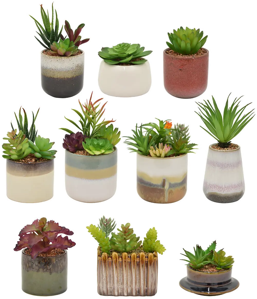 Assorted Multi Color Faux Succulent in Pot-1