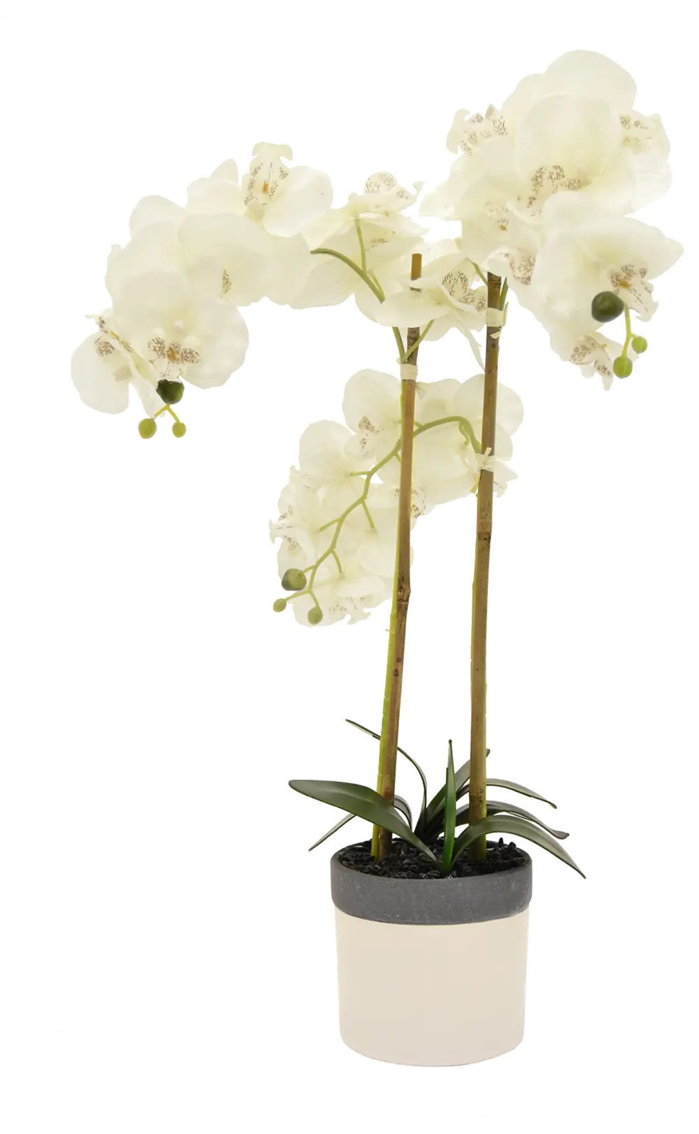 Faux White Orchid Arrangement in White and Gray Pot-1