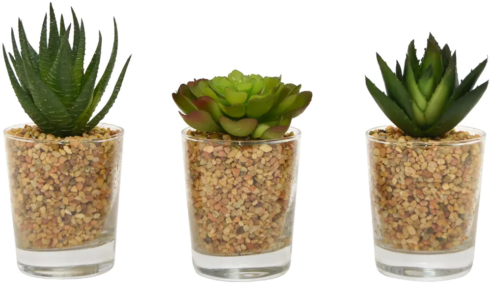 Assorted Faux Succulent Arrangement in Glass Container-1