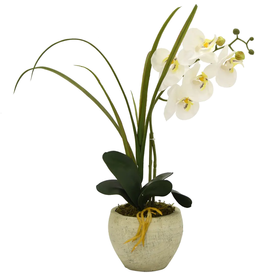 Faux White Orchid Arrangement in Oval Pot-1