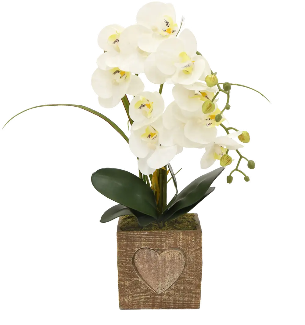White Faux Orchid Floral Arrangement in Heart Pot-1