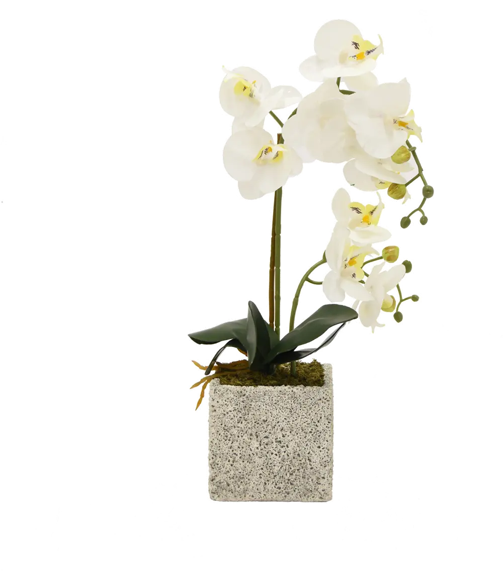 20 Inch Faux White Orchid Arrangement in Textured Pot-1
