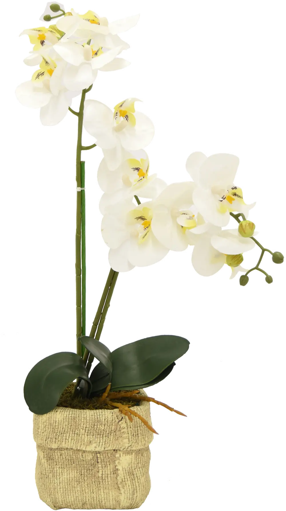 22 Inch Faux White Orchid Arrangement in Burlap Bag-1