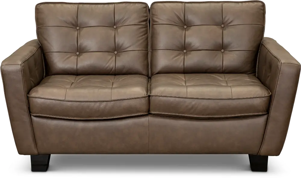 Contemporary Chocolate Brown Leather Loveseat - Martin-1