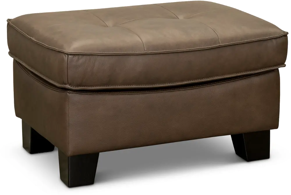 Contemporary Chocolate Brown Leather Ottoman - Martin-1