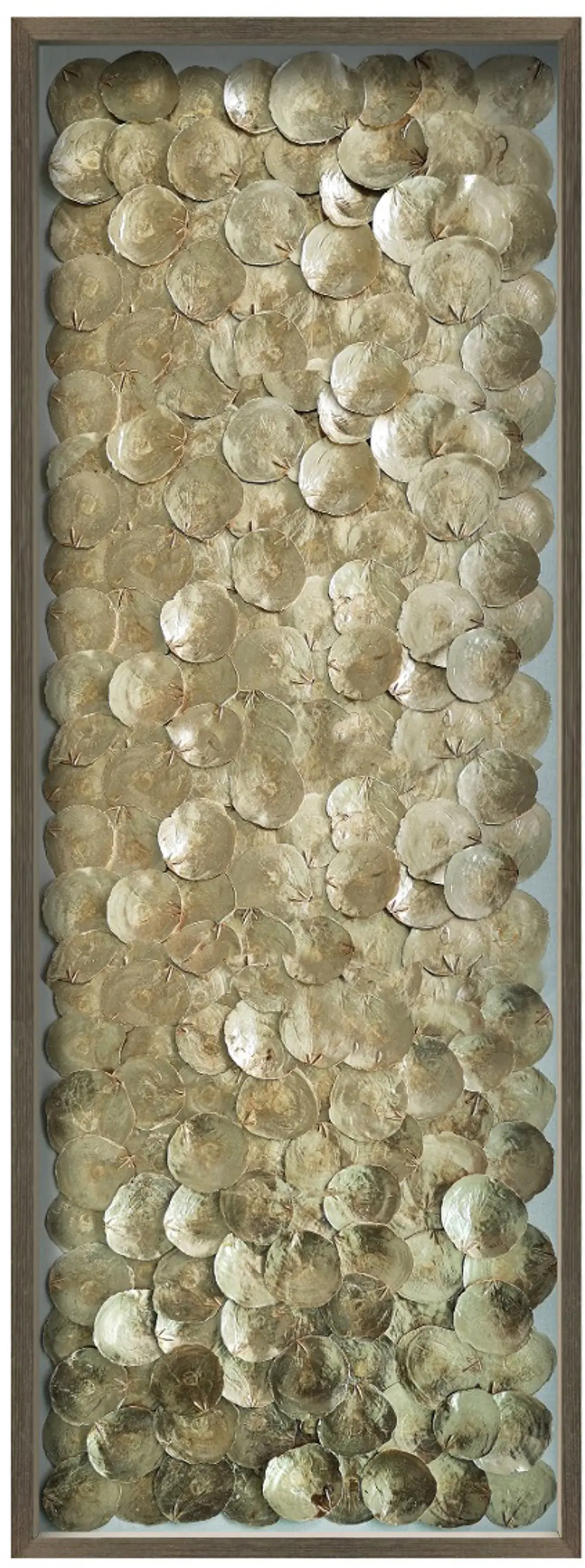 Gold Coastal Shells with Wooden Frame Wall Decor-1