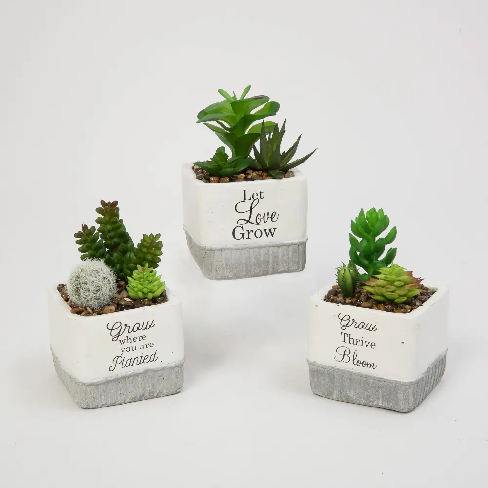 Assorted 5 Inch Faux Succulent in Gray and White Cement Pot-1
