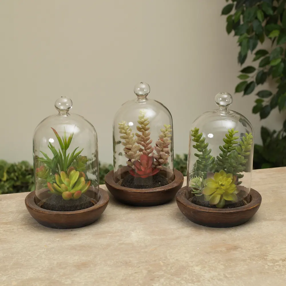 Assorted 7 Inch Potted Faux Succulent with Glass Dome-1