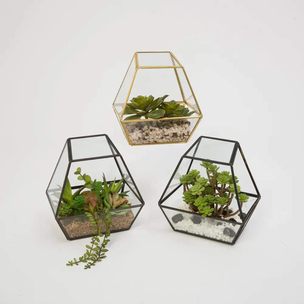 Assorted 6 Inch Metal and Glass Terrarium with Faux Succulent-1
