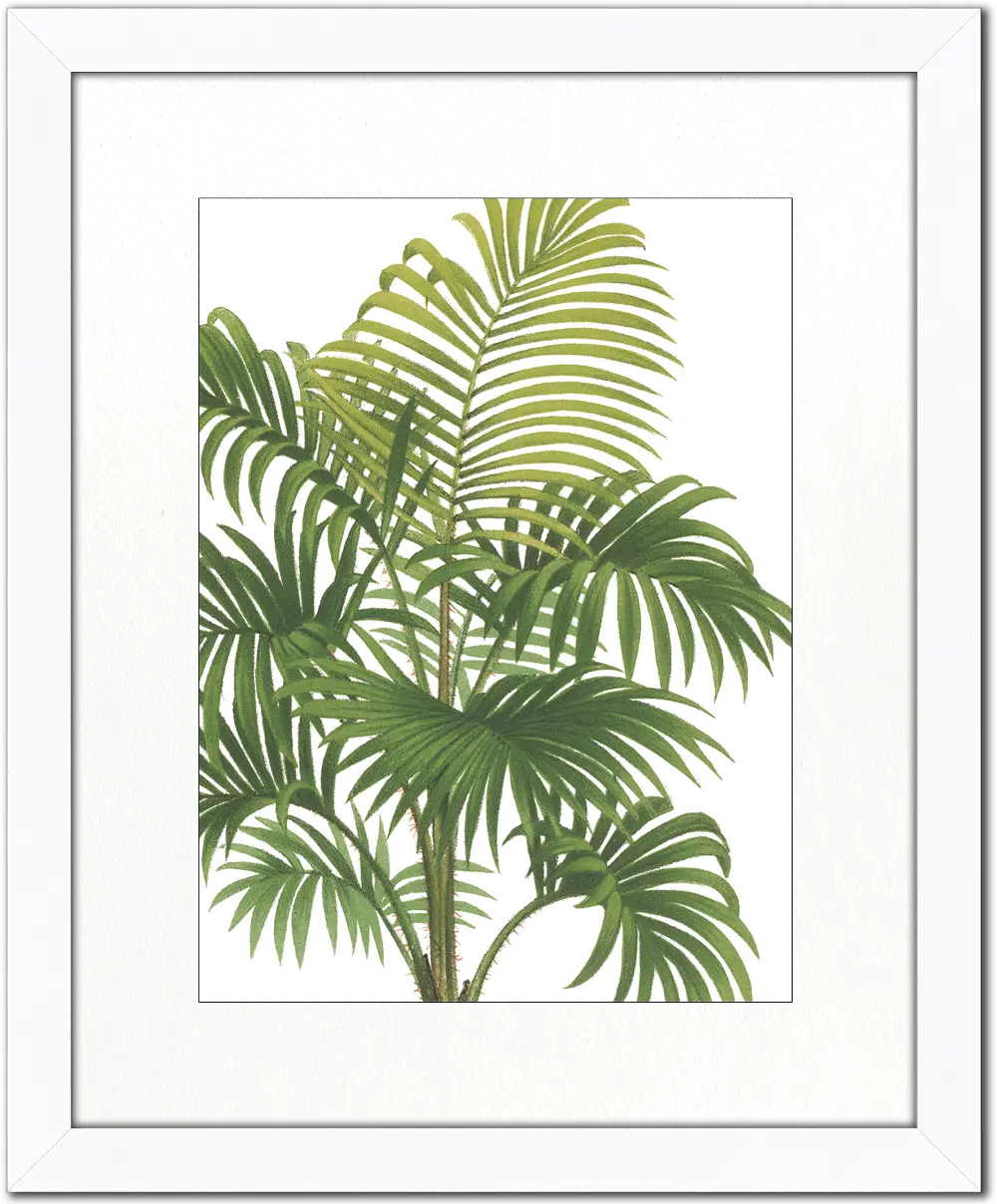 Riviera Palms I Fine Framed Wall Art-1