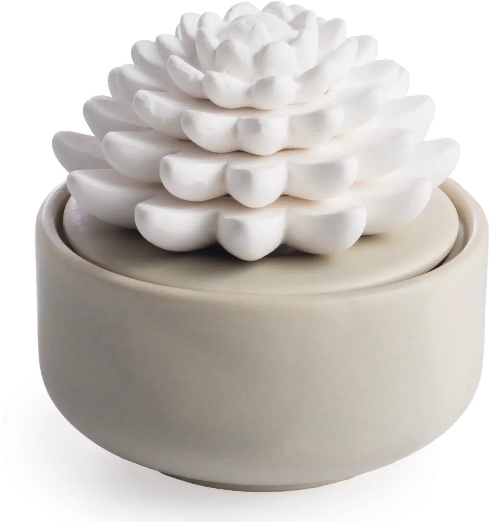 Porcelain Succulent Warm Gray Diffuser Airome-1