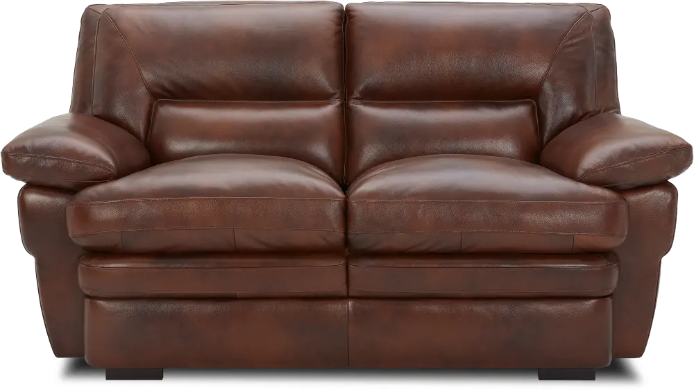Chesapeake Cognac Brown Leather Loveseat-1