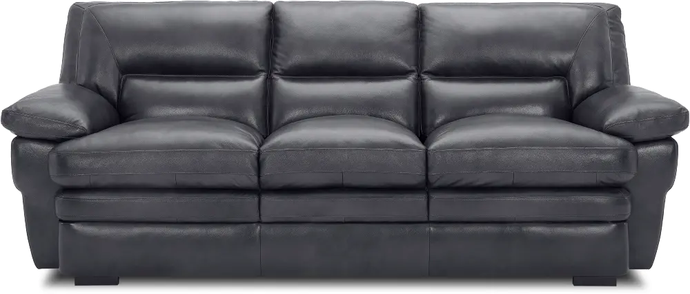 Chesapeake Charcoal Gray Leather Sofa-1