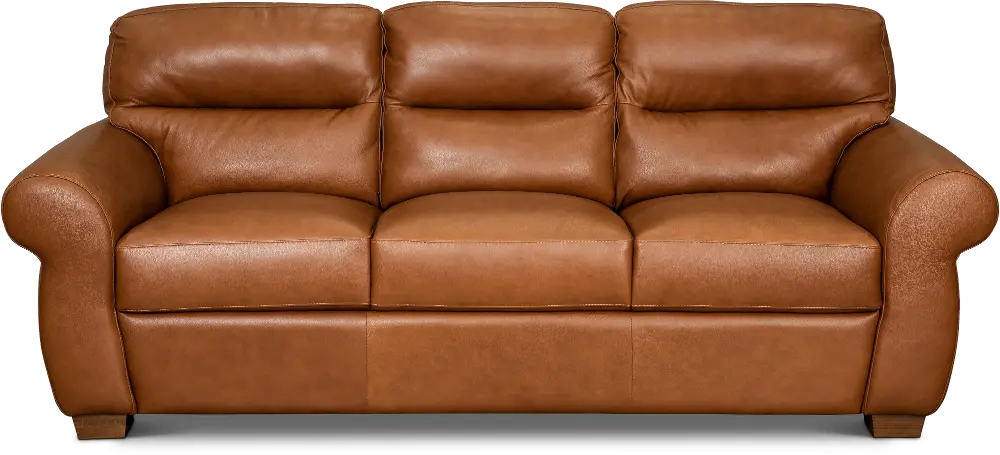 Jameson Whiskey Brown Leather Sofa-1