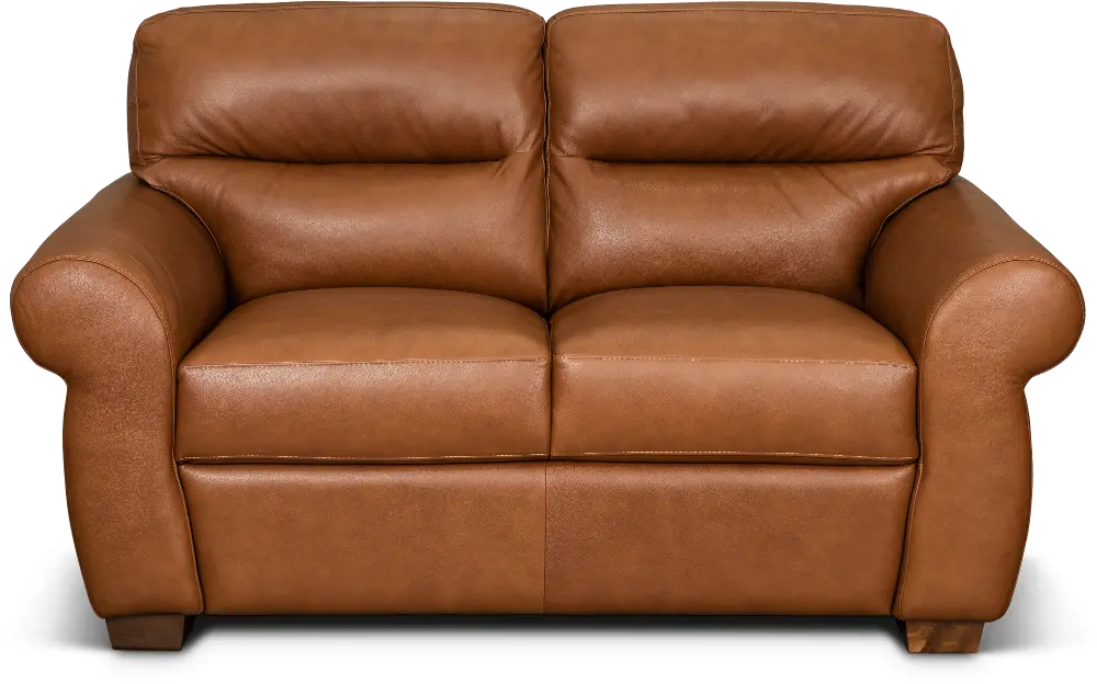 Jameson Whiskey Brown Leather Loveseat-1