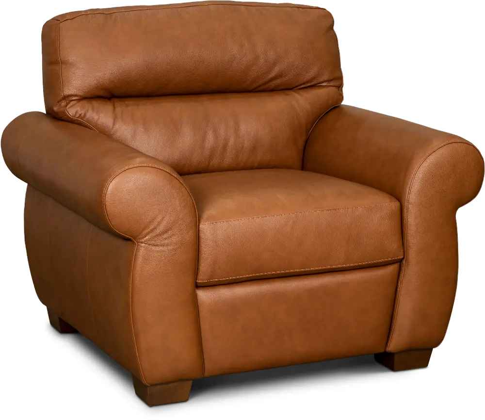 Jameson Whiskey Brown Leather Chair-1