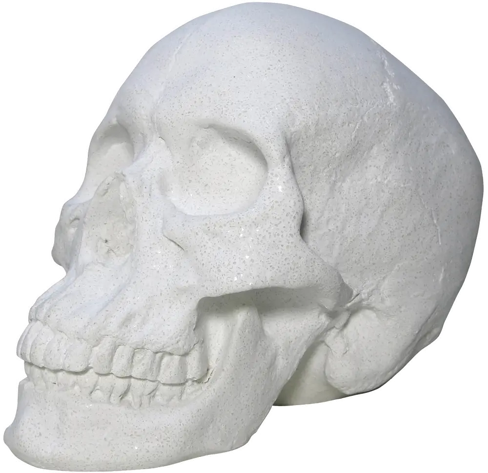 White Faux Marble Look Skull Tabletop Sculpture-1