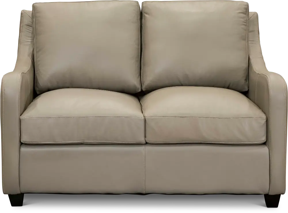 Contemporary Gray Leather Loveseat - Greyling-1