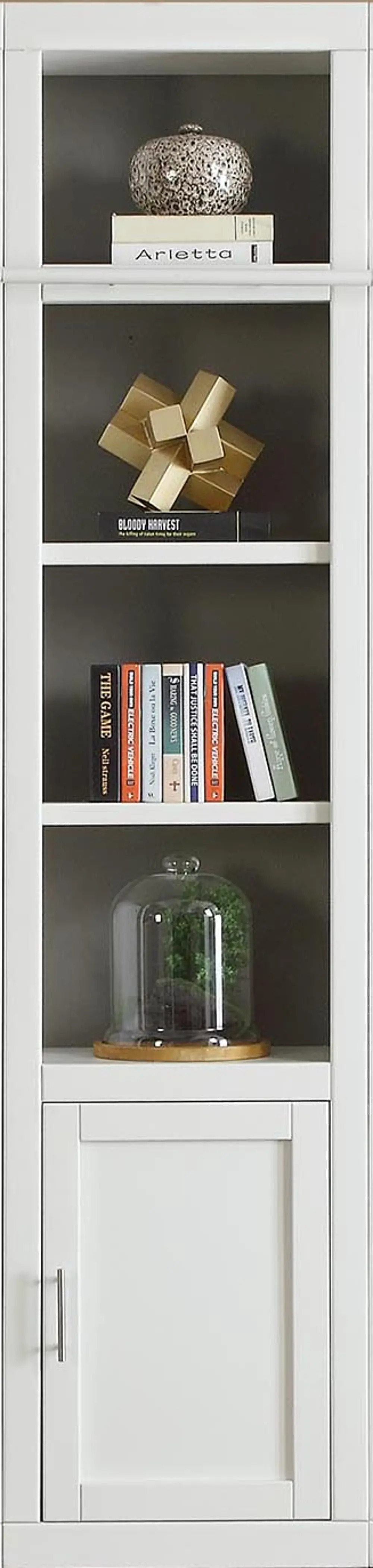 Catrina White 22  Bookcase with Reversible Door-1