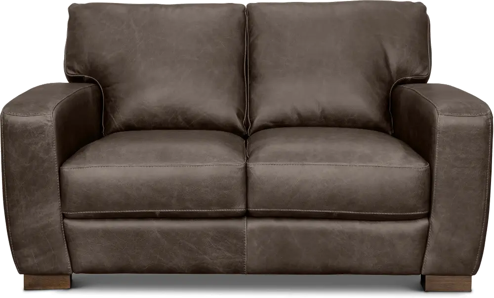 Dakota Brown Leather Loveseat-1