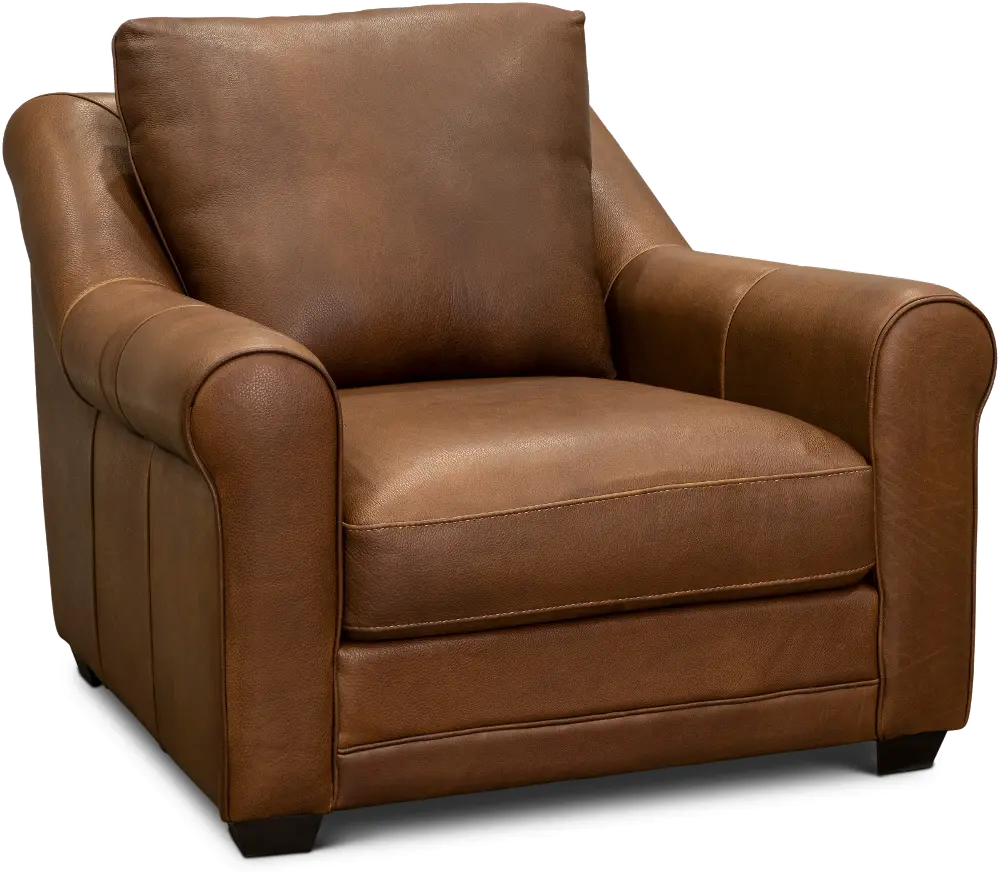 Panama Brown Leather Chair-1