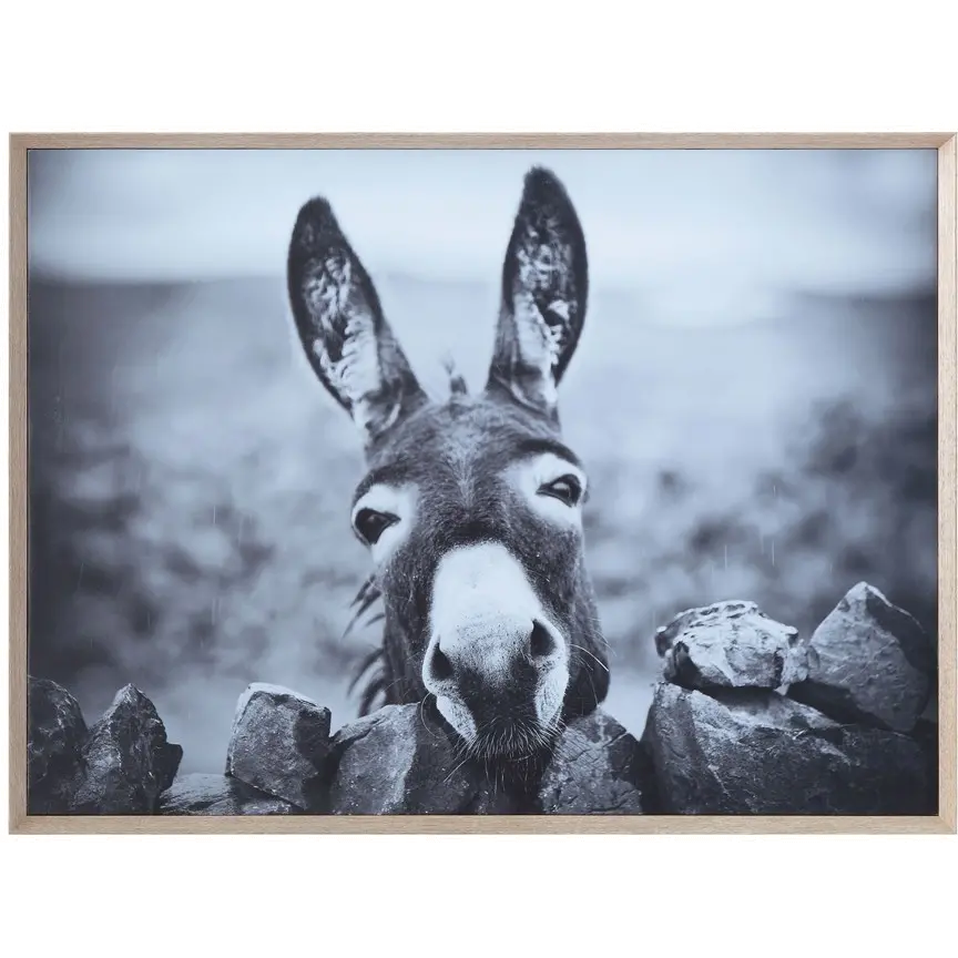 Black and White Donkey MDF Framed Canvas Wall Art-1