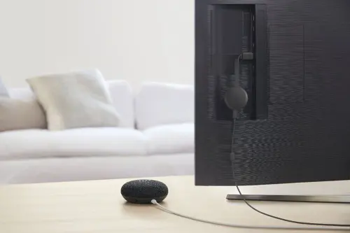 Nest Mini (2nd Gen) Charcoal and Chromecast Nest Mini (2nd Gen) Charcoal and Chromecast