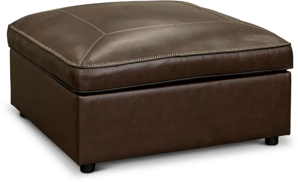 Spaces Brown Leather Ottoman-1