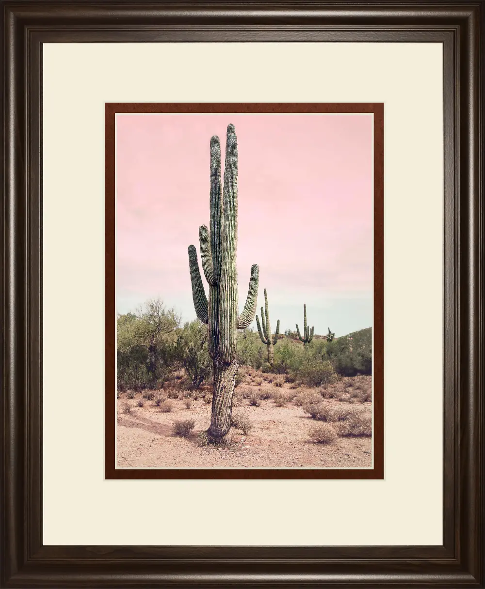 Pink Cactus Framed Print Wall Art-1