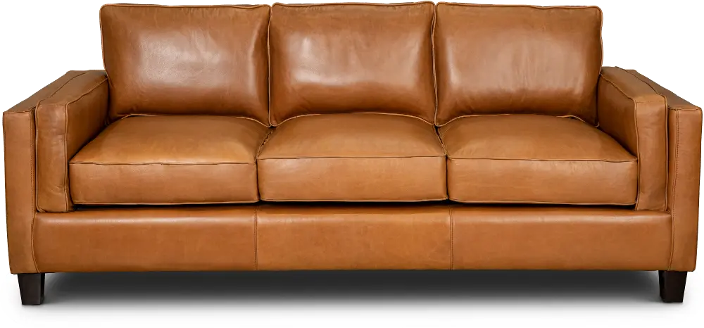 Contemporary Light Brown Leather Sofa - Sidney-1