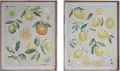 Assorted Citrus Fruit Wood Framed Canvas Wall Decor