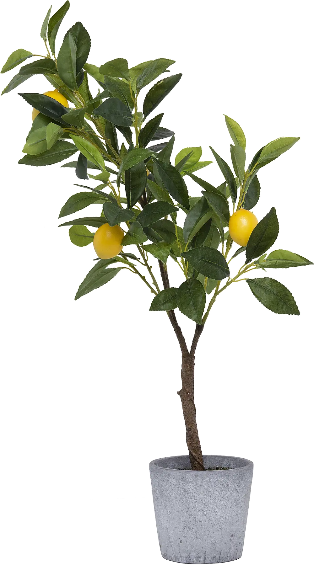 DF0921 Faux Green Tree with Lemons Arrangement in Cement Pot-1