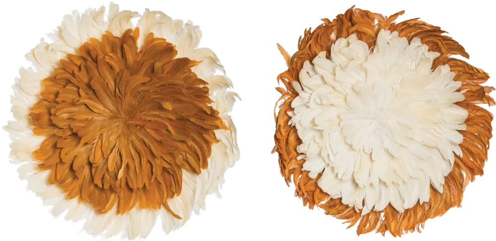 DF1948A-A/2-IND Assorted Round Two Tone Feather Wall Decor-1