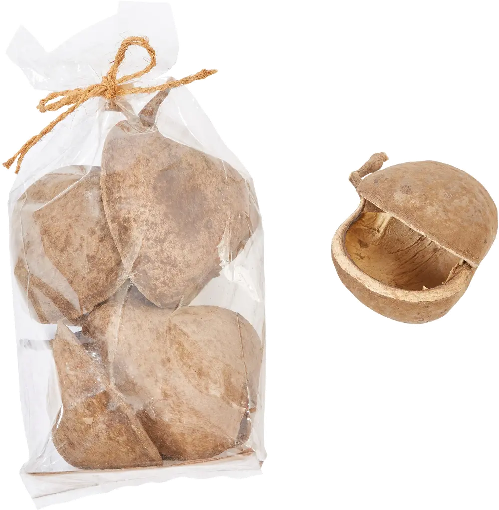 DF2226/NUT Dried Natural Buddha Nut in Bag-1